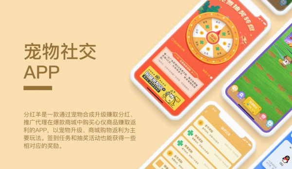 APP开发 APP定制开发 app开发app定制开发软件开发